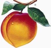 peach